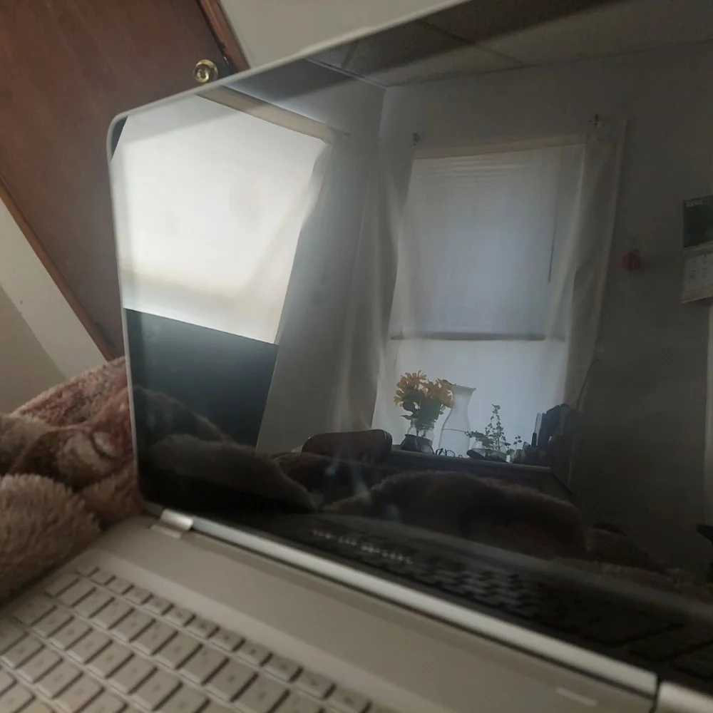 Unique discontinued Hp x360 convertible